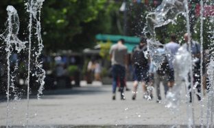 IMG_3787