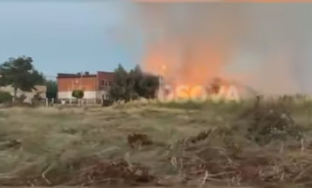 IMG_4068