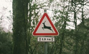 IMG_6953