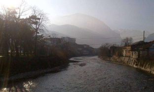 IMG_8453
