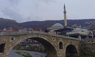 IMG_8751