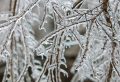 IMG_9152