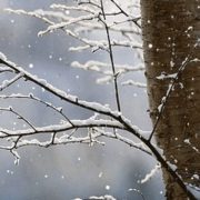 IMG_9846