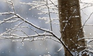IMG_9846